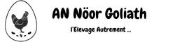 AN NÖOR